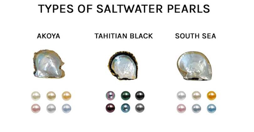 The Main Types of Saltwater Pearls
